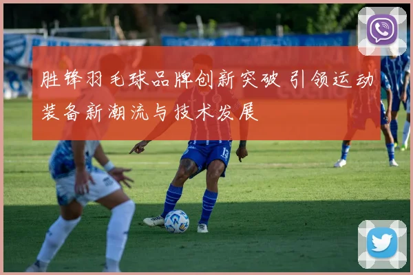 胜锋羽毛球品牌创新突破 引领运动装备新潮流与技术发展