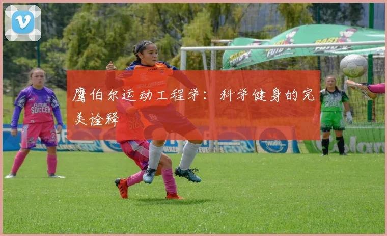 鹰伯尔运动工程学:科学健身的完美诠释